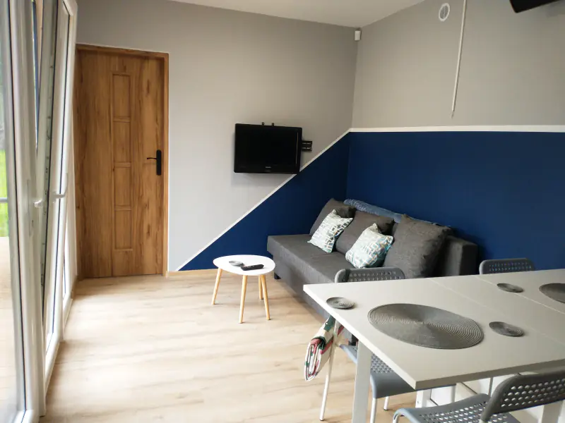 Wohnzimmer mit Sofa, TV und dunkelblauer Wand